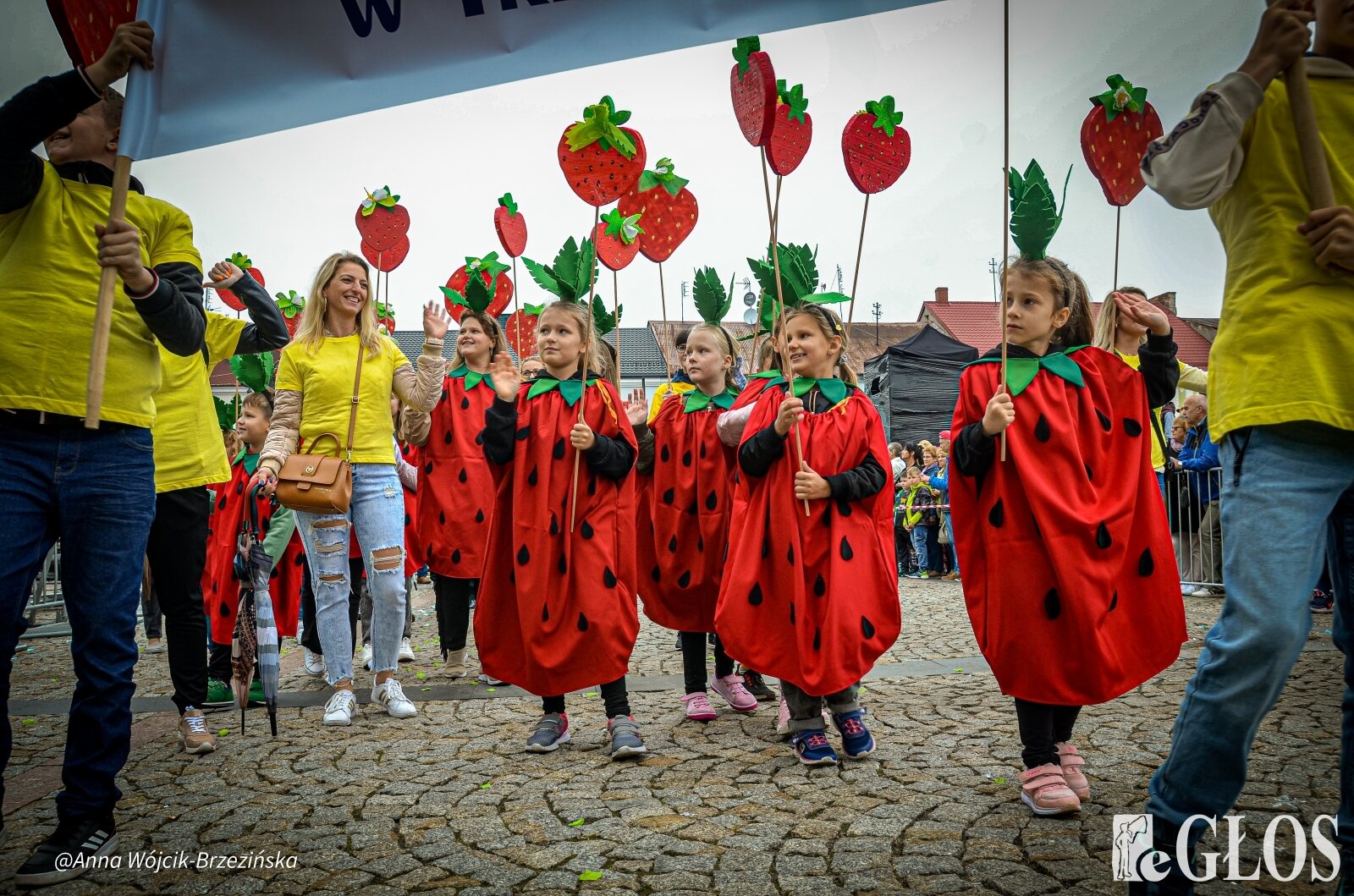  fot. Anna Wójcik-Brzezińska 