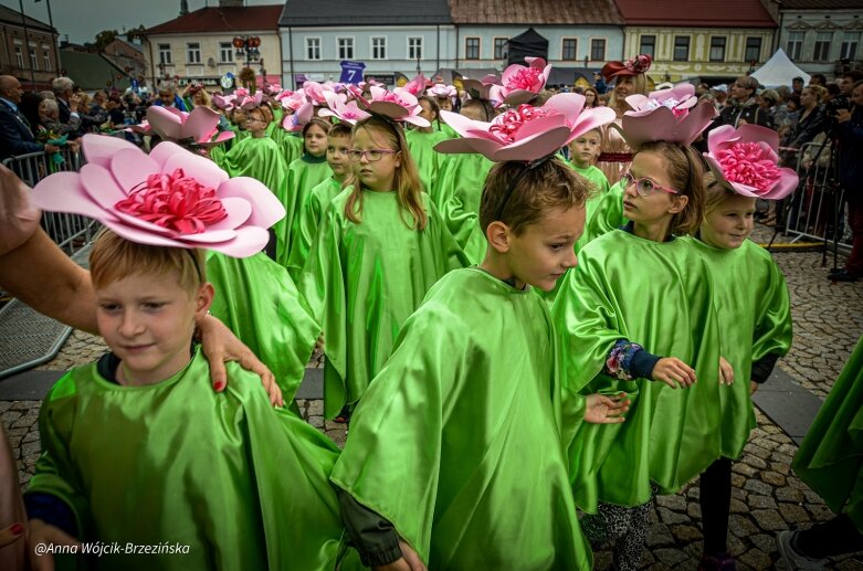  fot. Anna Wójcik-Brzezińska 