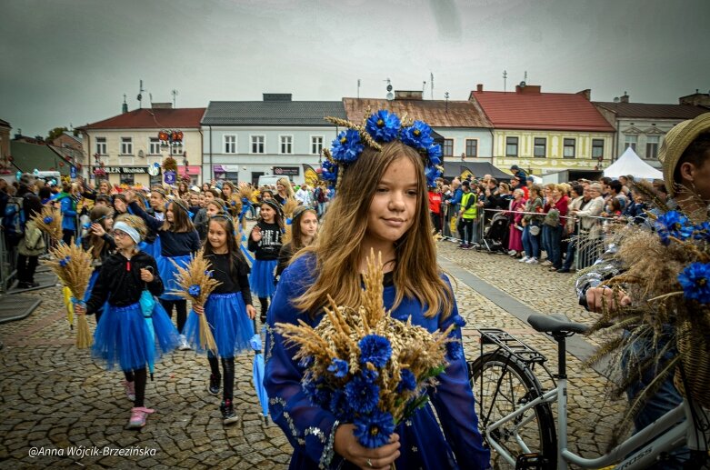  fot. Anna Wójcik-Brzezińska 