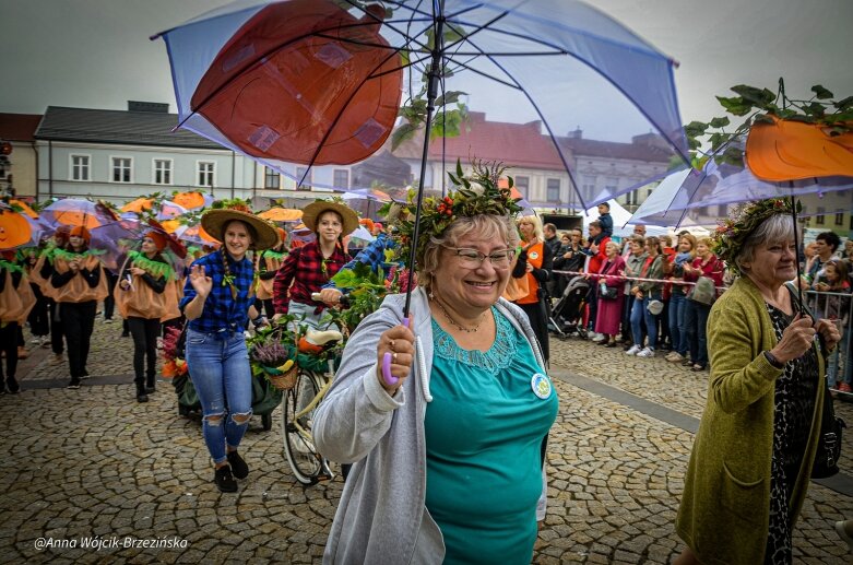  fot. Anna Wójcik-Brzezińska 