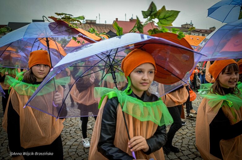  fot. Anna Wójcik-Brzezińska 