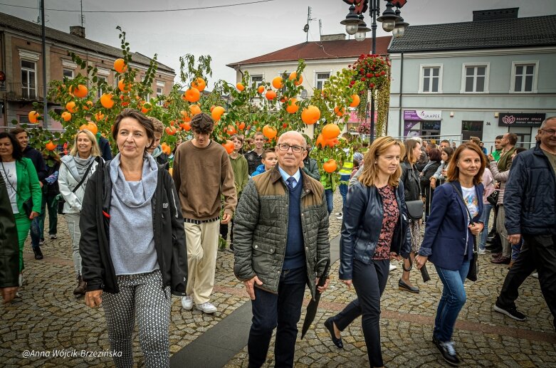  fot. Anna Wójcik-Brzezińska 