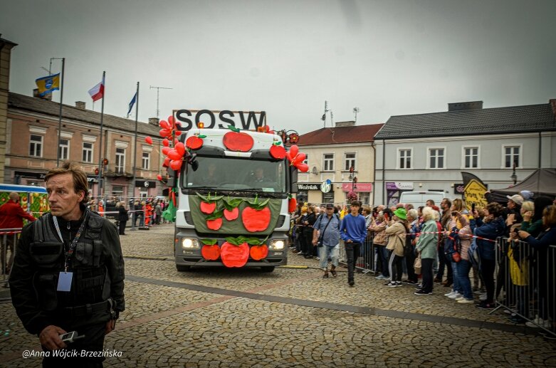  fot. Anna Wójcik-Brzezińska 