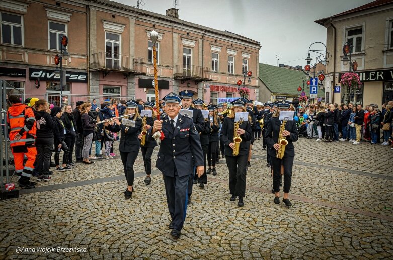  fot. Anna Wójcik-Brzezińska 