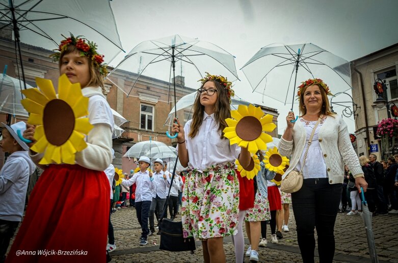  fot. Anna Wójcik-Brzezińska 