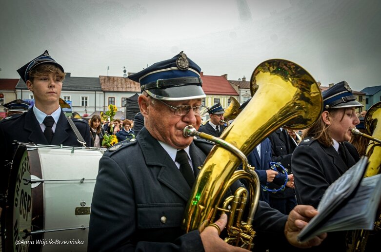  fot. Anna Wójcik-Brzezińska 