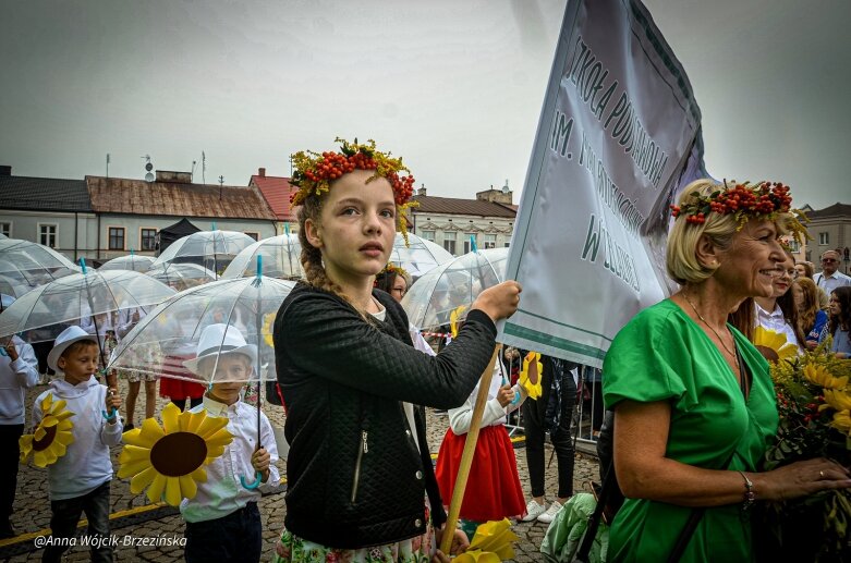  fot. Anna Wójcik-Brzezińska 