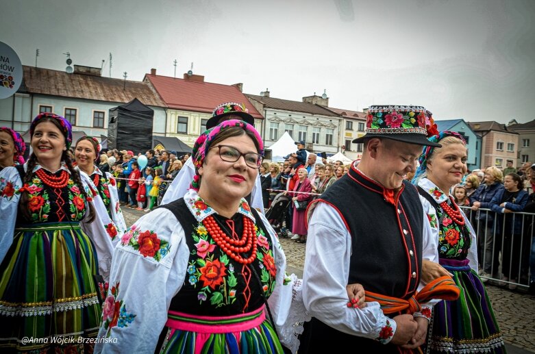  fot. Anna Wójcik-Brzezińska 