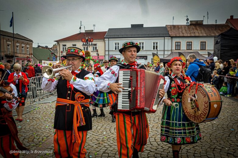  fot. Anna Wójcik-Brzezińska 