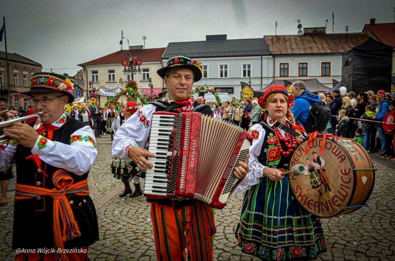  fot. Anna Wójcik-Brzezińska 