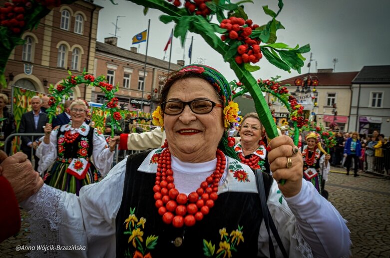  fot. Anna Wójcik-Brzezińska 