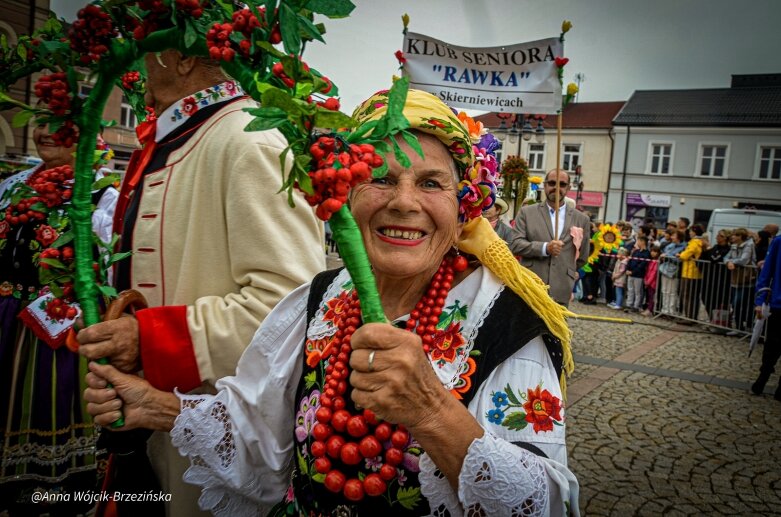  fot. Anna Wójcik-Brzezińska 