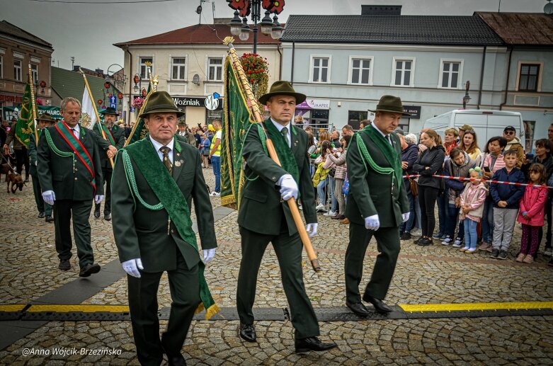  fot. Anna Wójcik-Brzezińska 