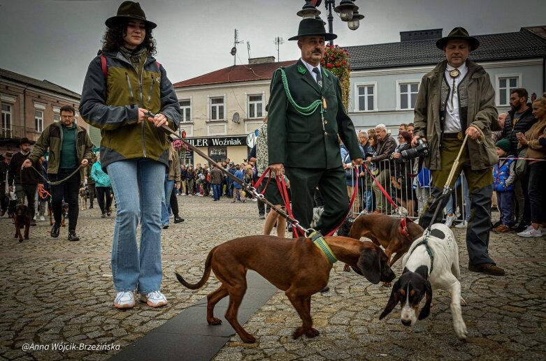  fot. Anna Wójcik-Brzezińska 