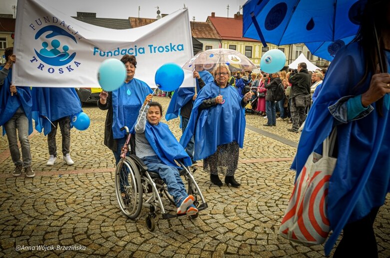  fot. Anna Wójcik-Brzezińska 