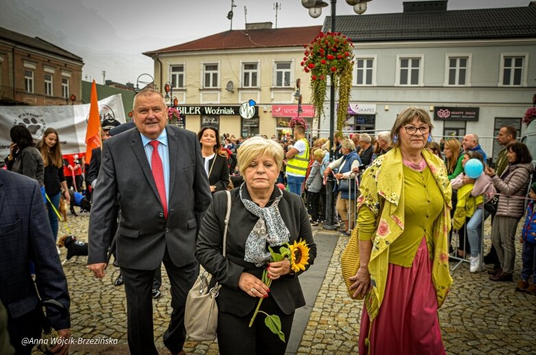  fot. Anna Wójcik-Brzezińska 