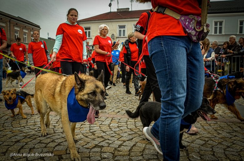  fot. Anna Wójcik-Brzezińska 