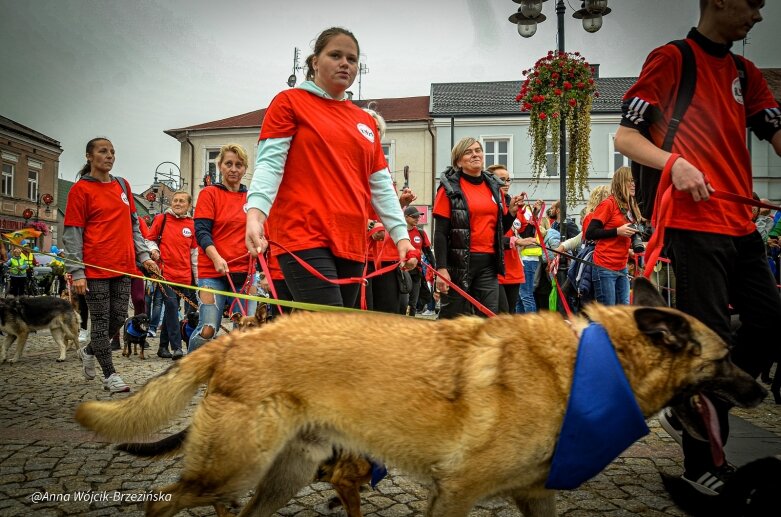  fot. Anna Wójcik-Brzezińska 