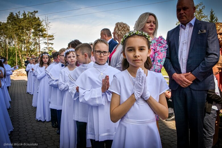  fot. Anna Wójcik-Brzezińska 