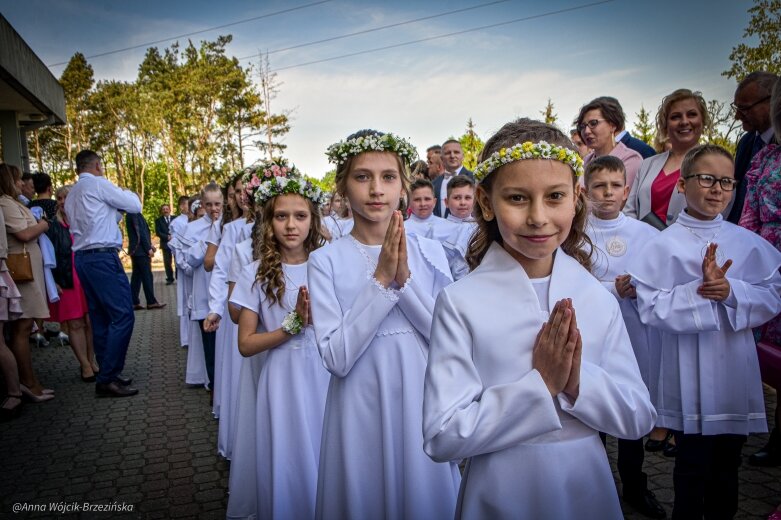  fot. Anna Wójcik-Brzezińska 