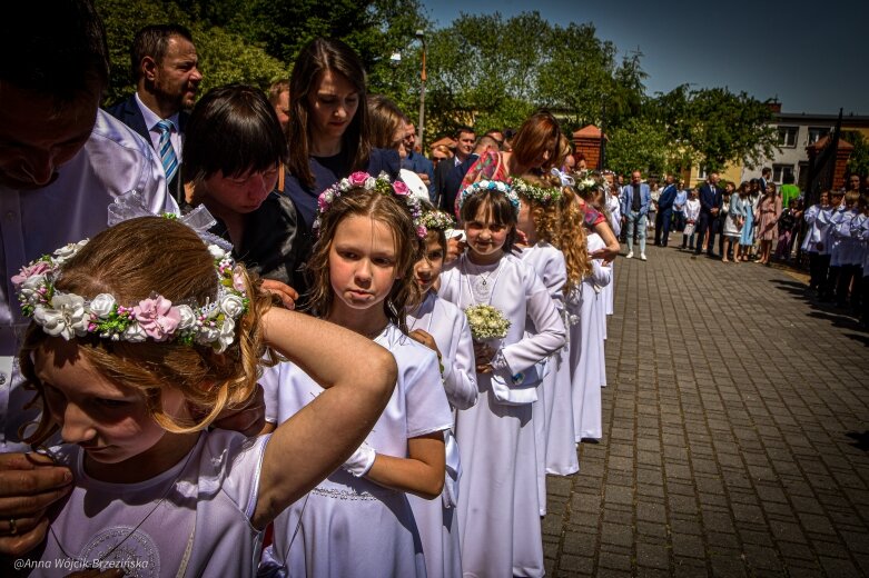  fot. Anna Wójcik-Brzezińska 