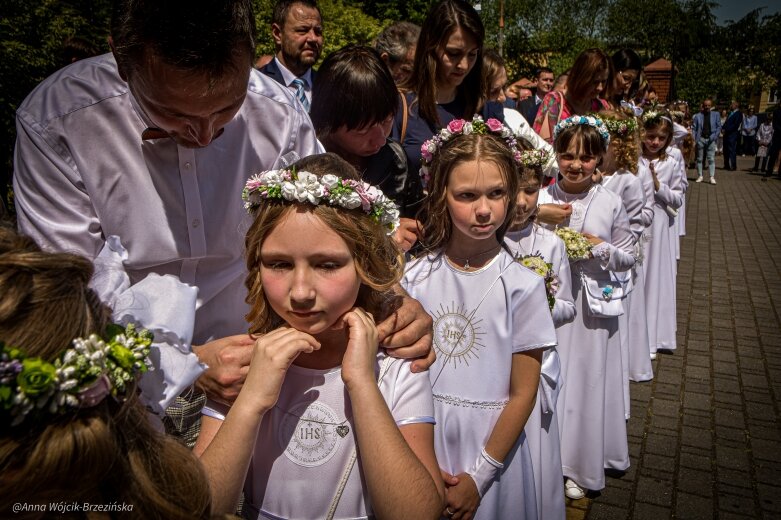  fot. Anna Wójcik-Brzezińska 