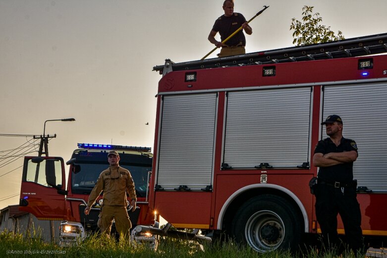  fot. Anna Wójcik-Brzezińska 