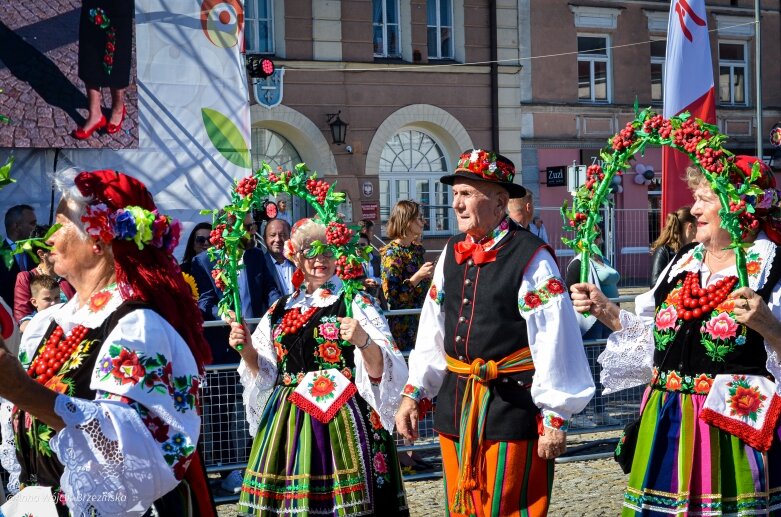  fot. Anna Wójcik-Brzezińska 