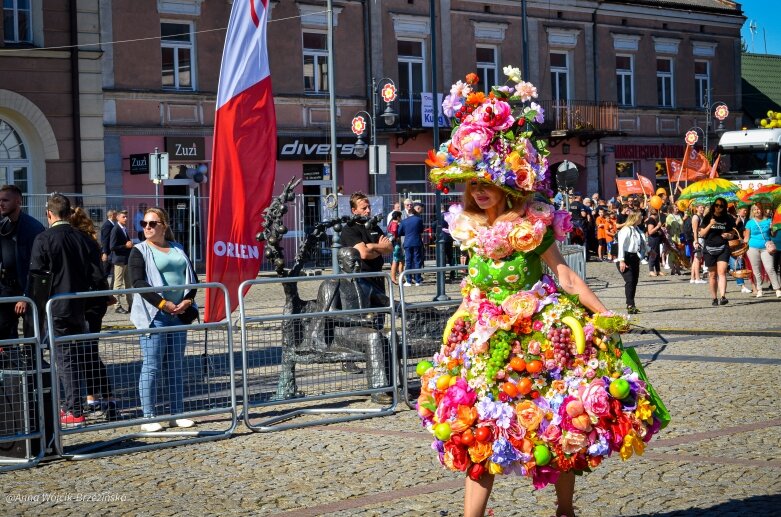  fot. Anna Wójcik-Brzezińska 