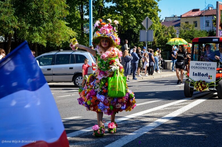  fot. Anna Wójcik-Brzezińska 