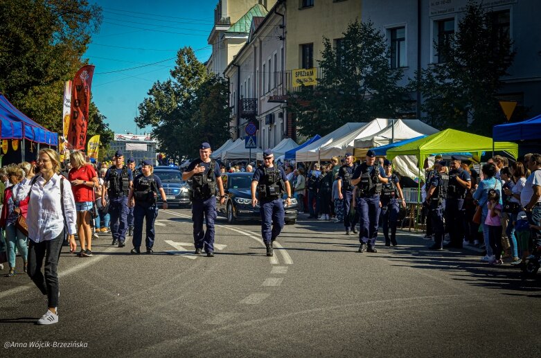  fot. Anna Wójcik-Brzezińska 