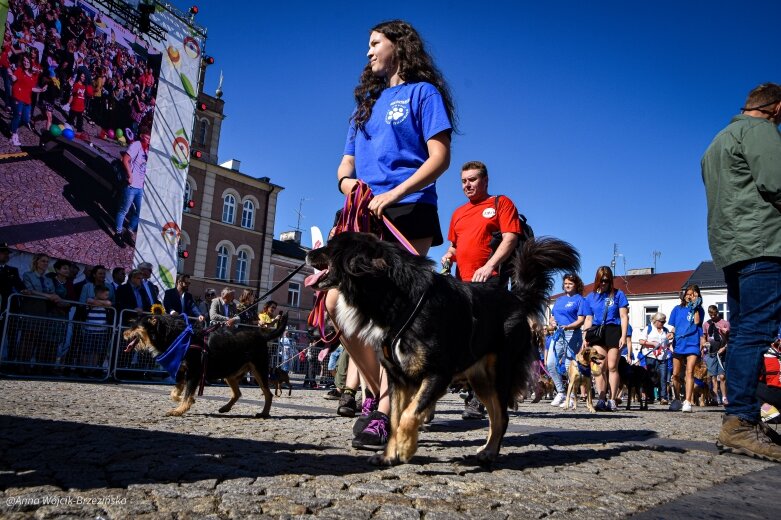  fot. Anna Wójcik-Brzezińska 