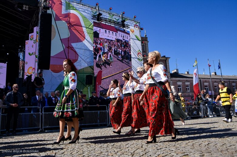  fot. Anna Wójcik-Brzezińska 