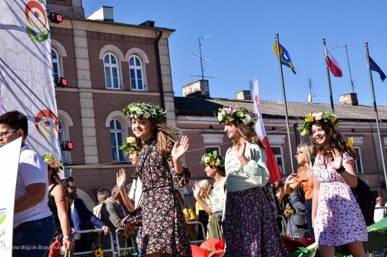  fot. Anna Wójcik-Brzezińska 