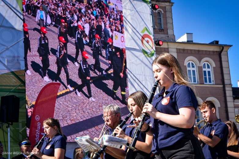  fot. Anna Wójcik-Brzezińska 