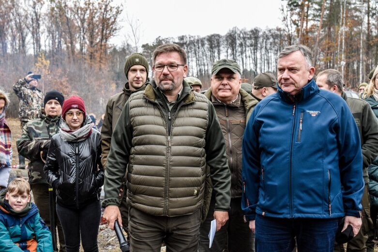  Las niepodległości w Bolimowskim Parku Krajobrazowym 