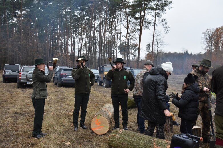  Las niepodległości w Bolimowskim Parku Krajobrazowym 