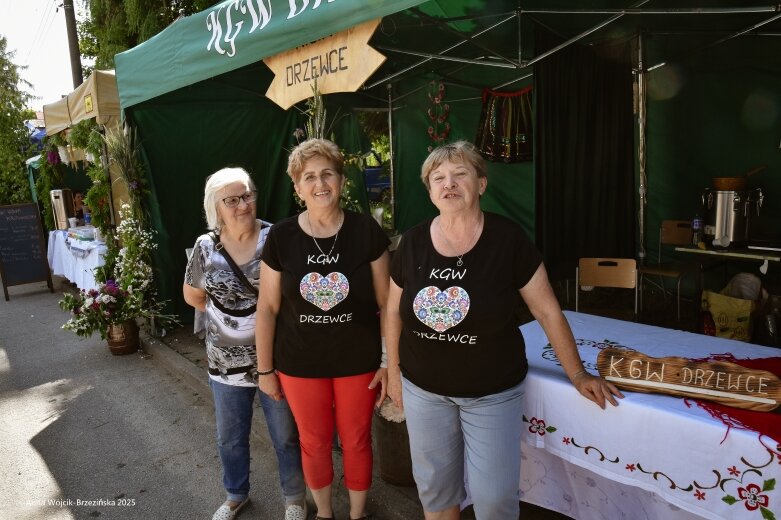  DZIEŃ REYMONTA w Lipcach Reymontowskich 