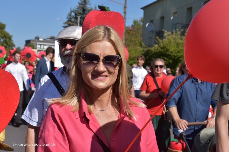  Barwna parada ulicami Skierniewic 