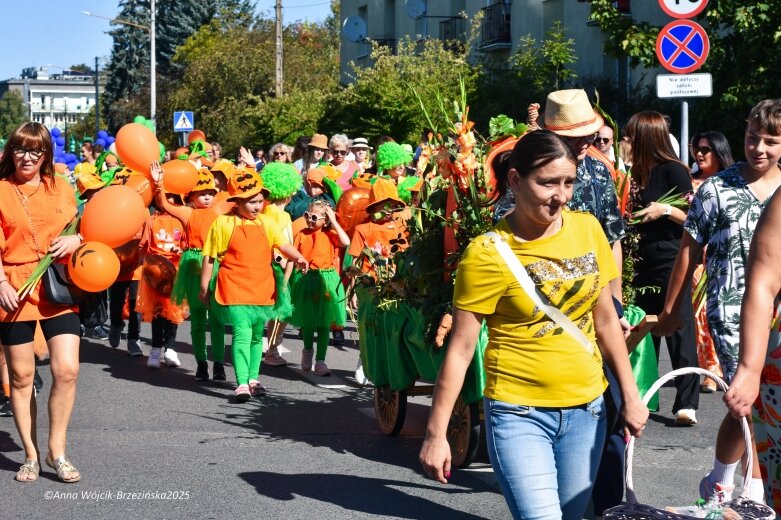  Barwna parada ulicami Skierniewic 