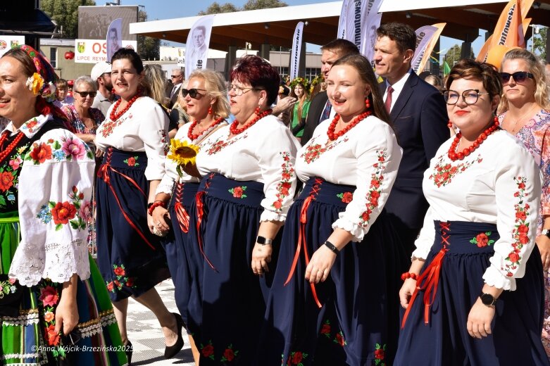  Barwna parada ulicami Skierniewic 
