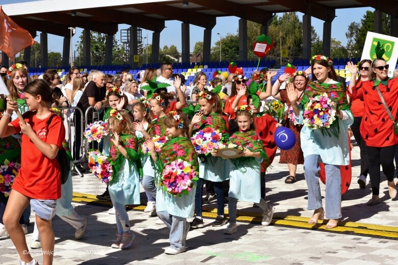  Barwna parada ulicami Skierniewic 