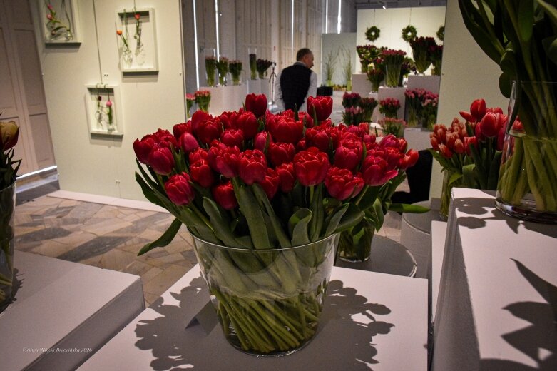  Trzy damy wśród tulipanów. Wilanów zakwitł, Skierniewice wybrzmiały 