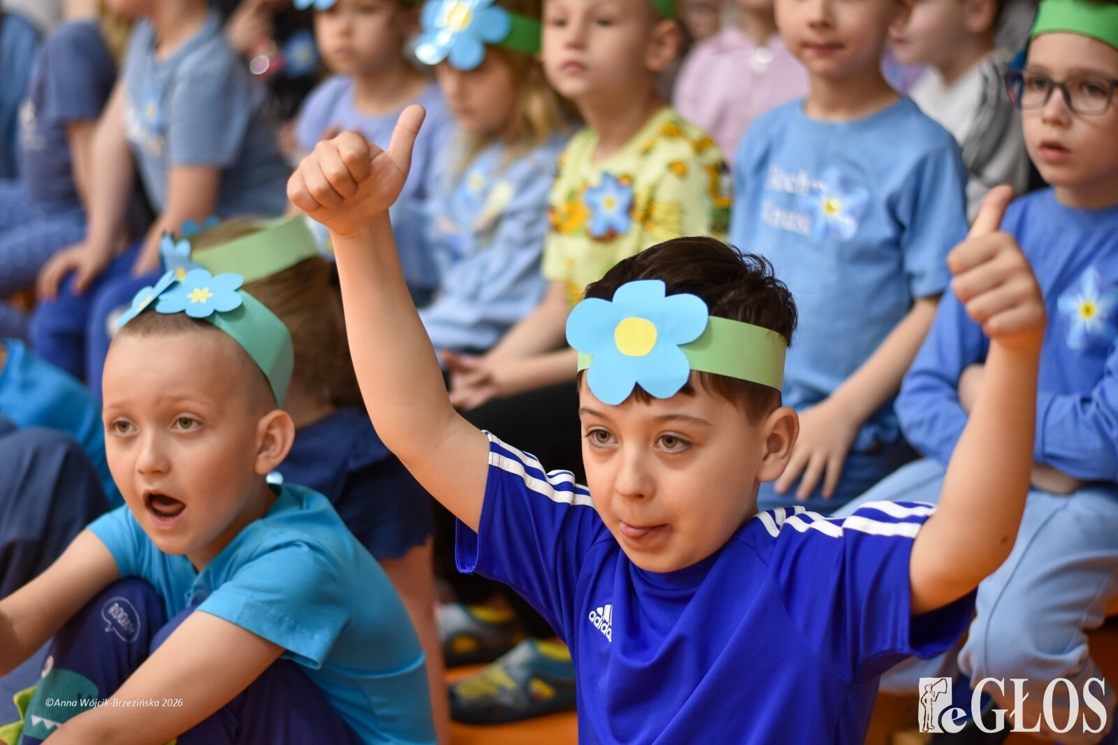  15 maja. Dzień Niezapominajki 
