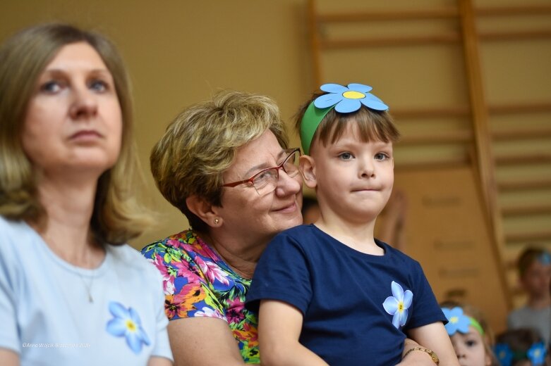  15 maja. Dzień Niezapominajki 