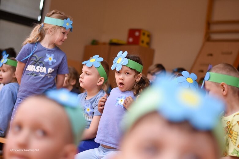  15 maja. Dzień Niezapominajki 