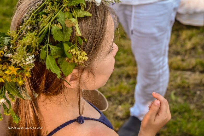  Najkrótsza noc, najdłuższe czary. Jelenie w terenie szukały kwiatu paproci 
