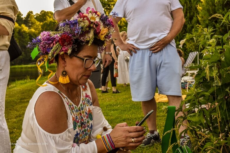  Najkrótsza noc, najdłuższe czary. Jelenie w terenie szukały kwiatu paproci 
