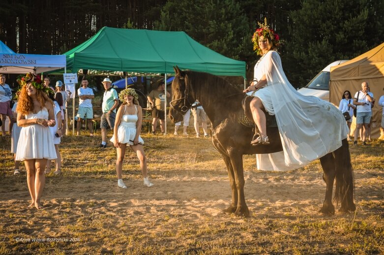  Najkrótsza noc, najdłuższe czary. Jelenie w terenie szukały kwiatu paproci 