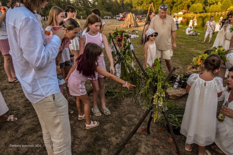  Najkrótsza noc, najdłuższe czary. Jelenie w terenie szukały kwiatu paproci 